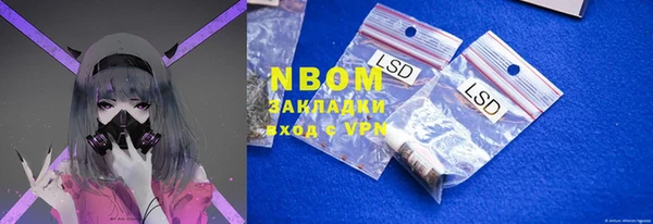 шишки Аркадак