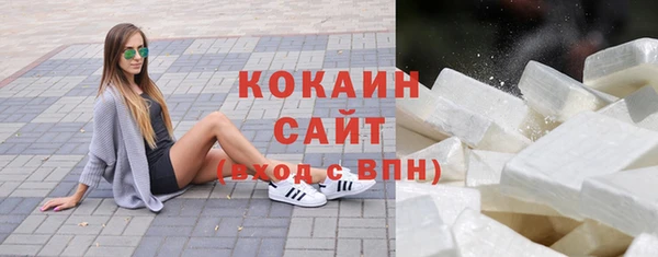 шишки Аркадак