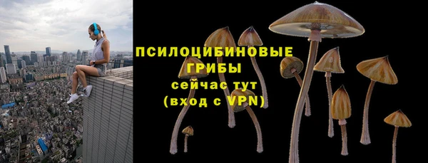 метадон Арсеньев