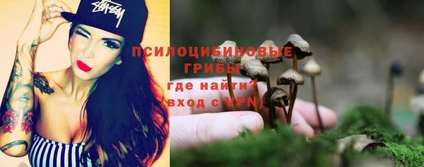 метадон Арсеньев