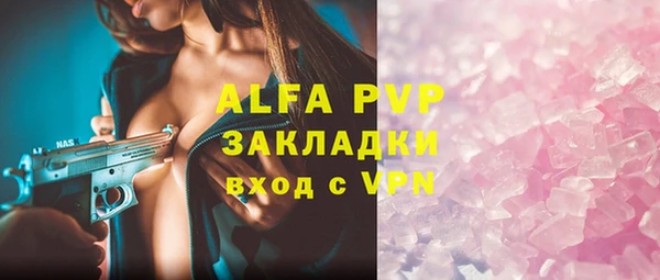 шишки Аркадак