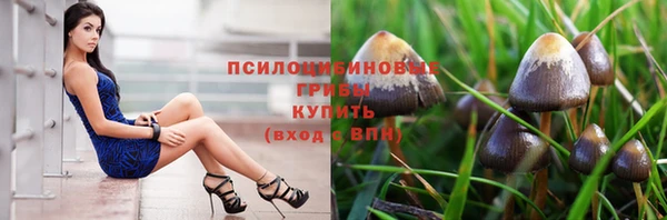 метадон Арсеньев