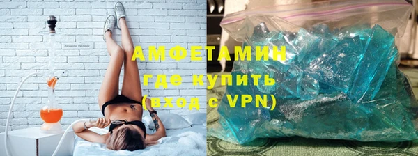 шишки Аркадак