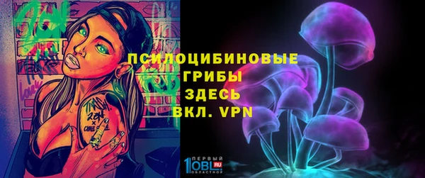 шишки Аркадак