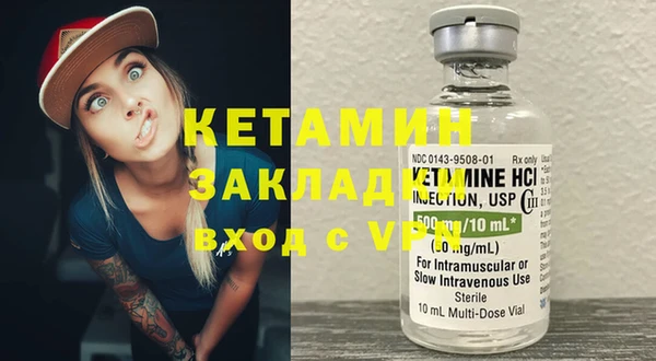 шишки Аркадак